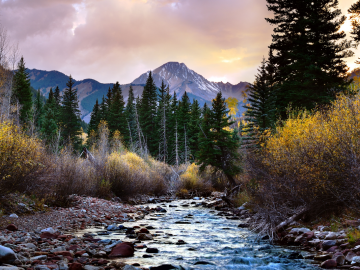 Giornata internazionale della natura selvaggia