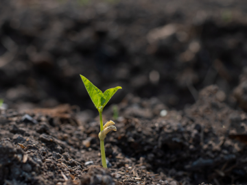 Uso, copertura e consumo di suolo