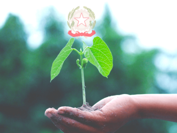 La tutela dell’Ambiente entra in Costituzione