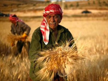 La guerra in Ucraina mette a dura prova anche la fame nel mondo