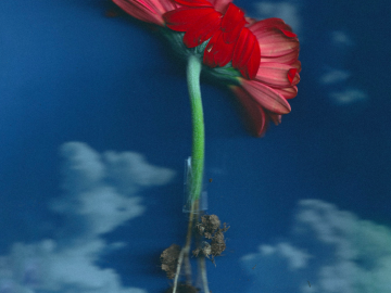 “Bulbi” è il nuovo singolo di Atarde