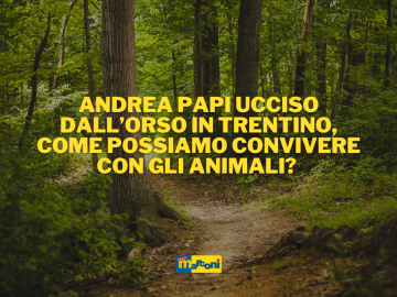 Andrea Papi ucciso dall’orso in Trentino, come possiamo convivere con gli animali?