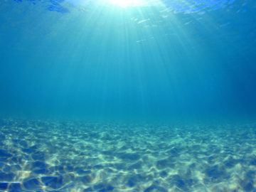 Pianeta Oceano: le maree stanno cambiando