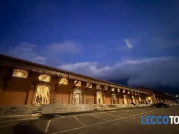 Stop ai piccioni: Lecco si affida ai falchi